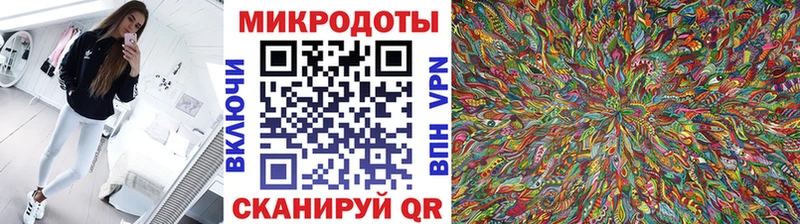 Галлюциногенные грибы прущие грибы  Ртищево 